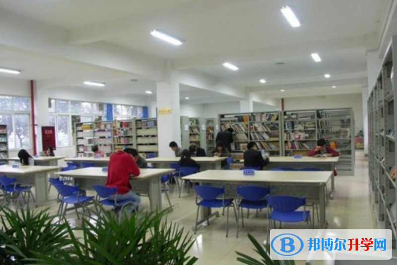 成都市樹人學(xué)校2022年學(xué)費(fèi)、收費(fèi)多少