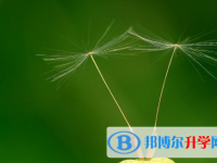 2021渭南中考服務(wù)應(yīng)用平臺