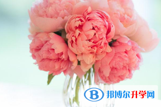2020年自貢中考網絡平臺