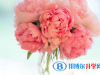 2020年自貢中考網絡平臺
