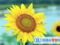 2020年自貢中考網絡登錄