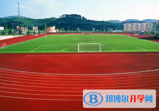 2020年自貢中考統(tǒng)考成績(jī)