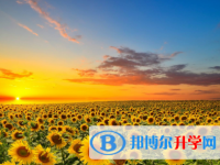 2020年曲靖中考成績怎么查詢