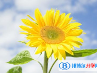 2021年咸陽中考沒有考上怎么辦