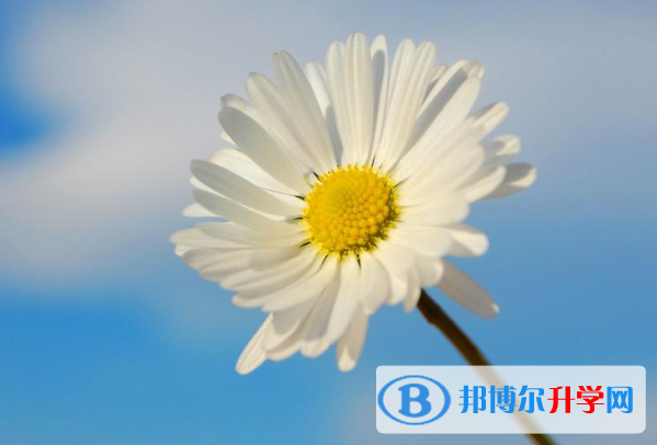 2021年咸陽(yáng)中考落榜了怎么辦