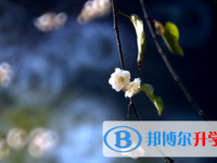 2021延安中考考點