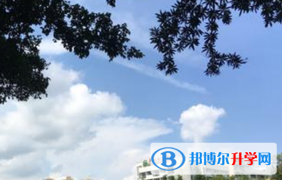 四川省成都市大面中學校2022年報名條件、招生要求、招生對象