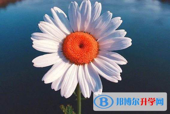 2020年綿陽中考緊張