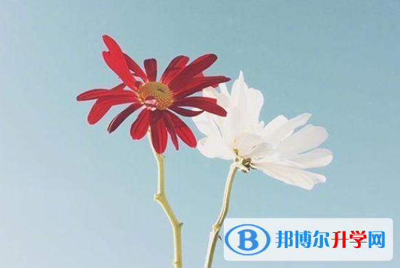 2020年內江中考報考指南