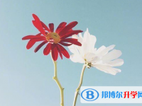 2020年內江中考報考指南