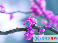 2020年內(nèi)江中考成績重點線
