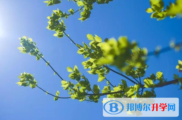2020年內江中考自主招生報名