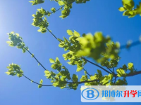 2020年內江中考自主招生報名