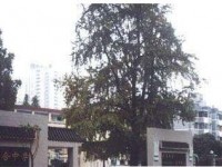 四川省成都市石室聯(lián)合中學2022年招生錄取分數(shù)線
