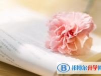 2021年咸陽中考后可以上什么學校