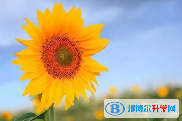 2021年咸陽中考第一排怎么作弊
