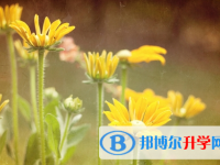 2021年延安中考可以報哪些學校