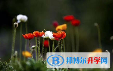 2021年延安中考考生人數