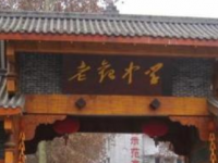 閬中市老觀中學2023年招生錄取分數線