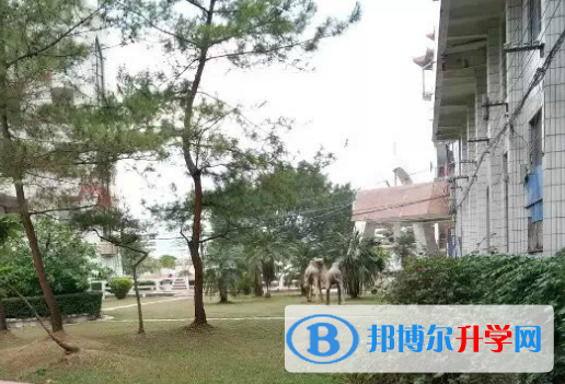 四川省名山中學怎么樣、好不好