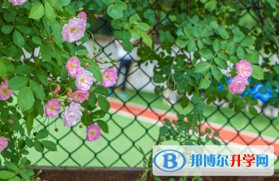 2021年咸陽中考200多的哪些學校要