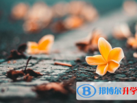 2021年延安中考錄取報名網