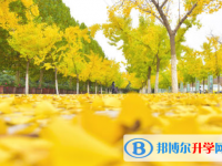 2021年咸陽中考453可以讀哪些學校