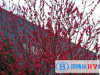 崇州市江源鎮中學2025年學費、收費多少