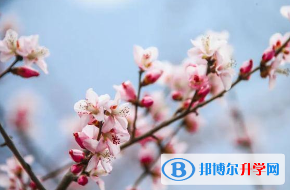 2020年內江中考是不是錄取線最高的