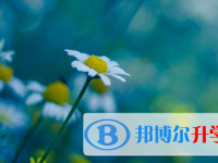 2021年涼山中考重點(diǎn)線預(yù)測