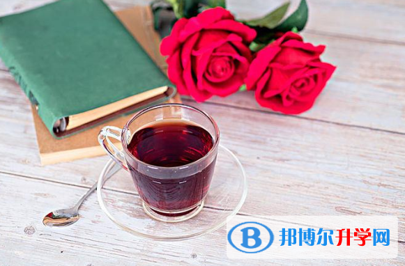 2020年內江中考查詢系統
