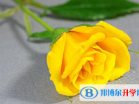 2020年樂山還有一天中考怎么辦