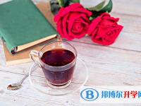 2020年樂(lè)山什么是中考調(diào)劑生
