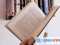 2020年樂(lè)山怎么寫中考自薦書