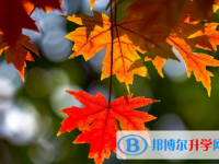 2020年樂(lè)山中考注意事項(xiàng)