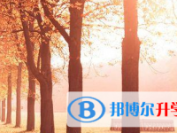 2021年涼山中考志愿官網