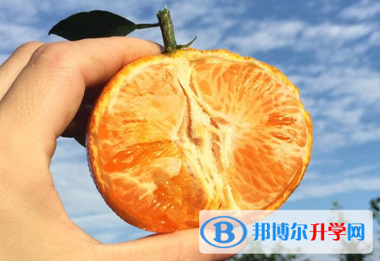 2021年咸陽今年中考難嗎