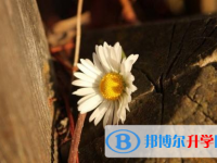2021年延安中考錄取規劃線