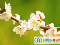 2021年咸陽中考哪個地方最難