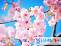 2020年南充中考報名志愿