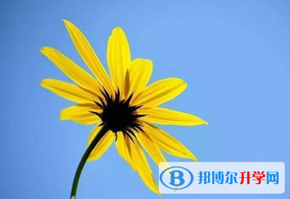2020年巴中中考網上報名系統