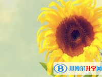 2020年南充中考網登錄