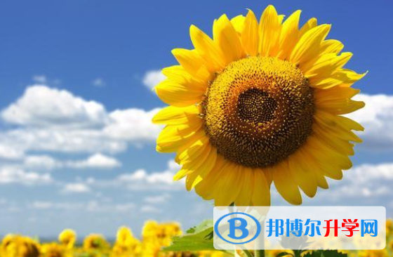 2020年南充中考派的學校有哪些學校