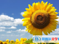 2020年南充中考派的學校有哪些學校
