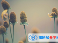 2021年延安中考沒考上可以復讀嗎