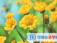 2021年延安中考民辦學校