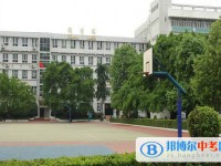 成都石室錦城外國(guó)語(yǔ)學(xué)校2025年學(xué)費(fèi)、收費(fèi)多少