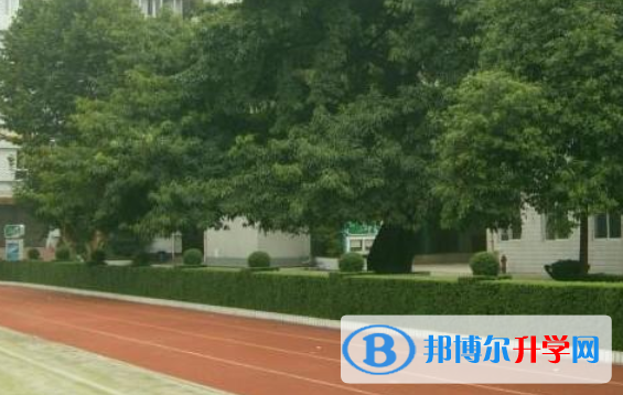 成都石室錦城外國語學校2022年招生簡章