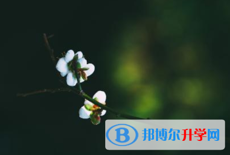 2021年延安中考人數
