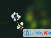 2021年延安中考人數